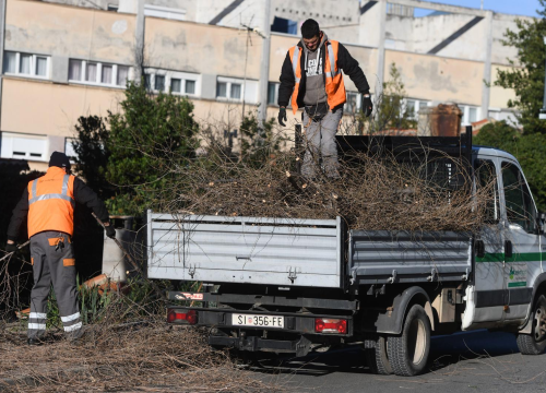 Zeleni grad u zimskoj akciji: Uklanjaju suhe grane i škaraju krošnje stabala
