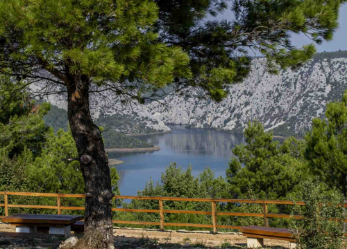 Posjeti NP "Krka" na Praznik rada, preuzmi svoju sadnicu i posadi je za budućnost!