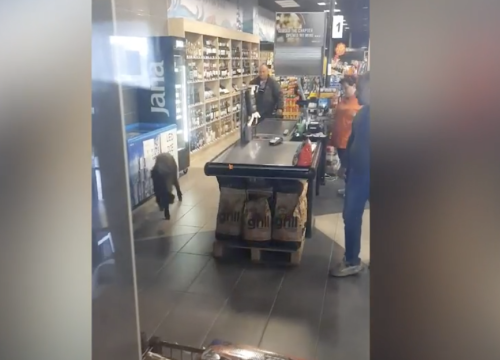 Vepar u shoppingu na Krku: 'Vidiš kako zna gdje je blagajna'