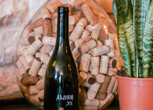 Fotografija 3 - Vikend rezervirajte za turu po vinarijama i kušanje vrhunskih lokalnih vina!