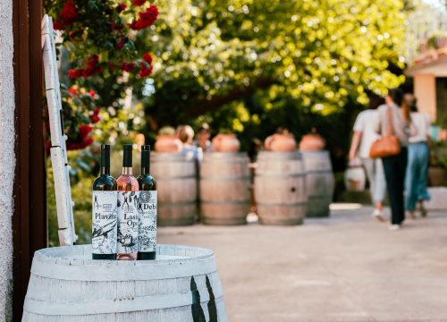 Fotografija 7 - Vikend rezervirajte za turu po vinarijama i kušanje vrhunskih lokalnih vina!