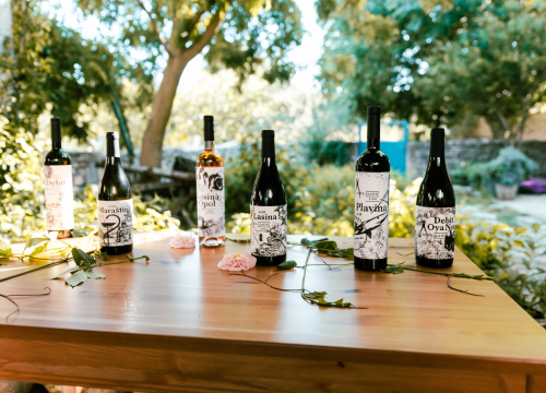 Fotografija 8 - Vikend rezervirajte za turu po vinarijama i kušanje vrhunskih lokalnih vina!