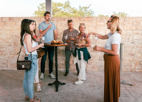 Fotografija 9 - Vikend rezervirajte za turu po vinarijama i kušanje vrhunskih lokalnih vina!