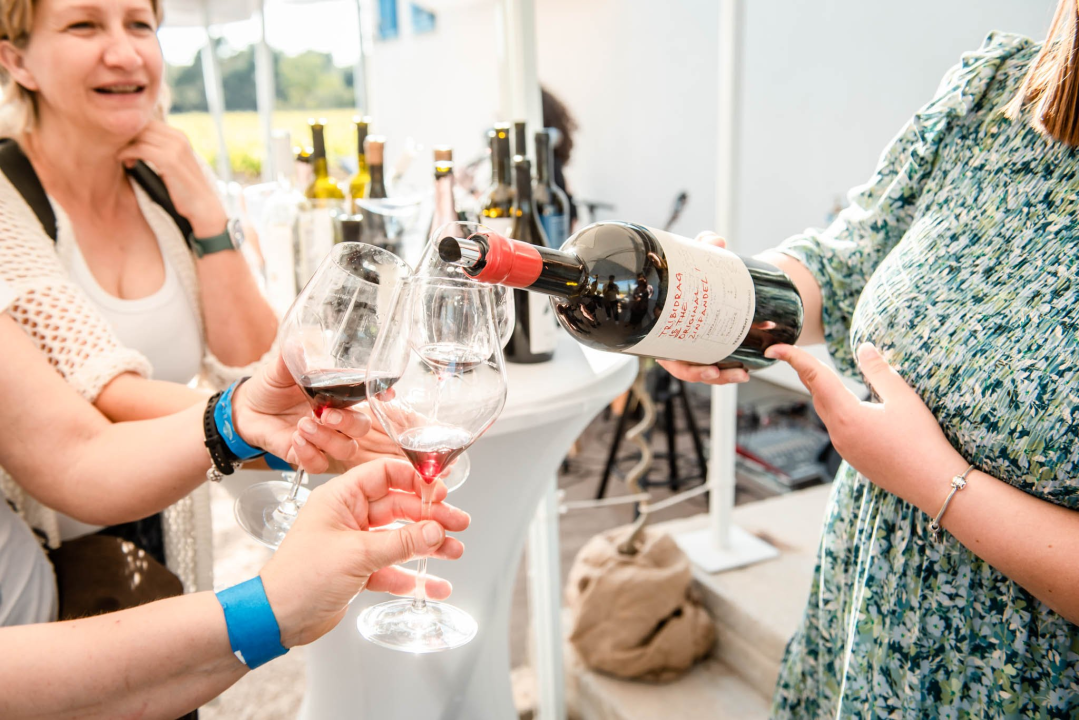 Vikend rezervirajte za turu po vinarijama i kušanje vrhunskih lokalnih vina!