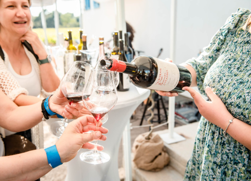 Fotografija 10 - Vikend rezervirajte za turu po vinarijama i kušanje vrhunskih lokalnih vina!