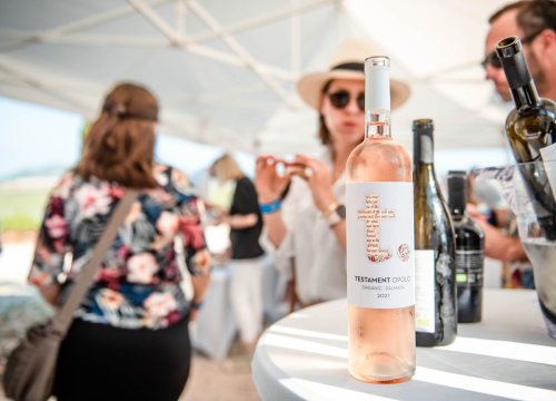 Fotografija 17 - Vikend rezervirajte za turu po vinarijama i kušanje vrhunskih lokalnih vina!