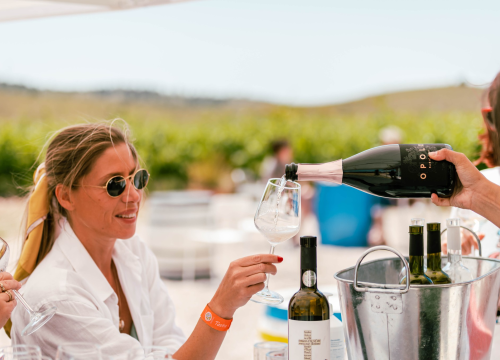 Fotografija 18 - Vikend rezervirajte za turu po vinarijama i kušanje vrhunskih lokalnih vina!