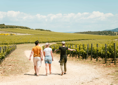 Fotografija 20 - Vikend rezervirajte za turu po vinarijama i kušanje vrhunskih lokalnih vina!