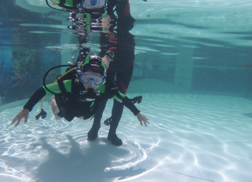 Ronilački vikend u Vodicama: Besplatno ronjenje, ali i velika eko akcija