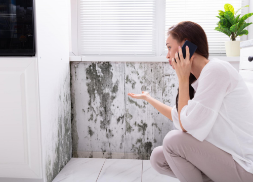 Donosimo odgovore na pet najčešćih pitanja vezanih uz pojavu vlage i plijesni u domovima!