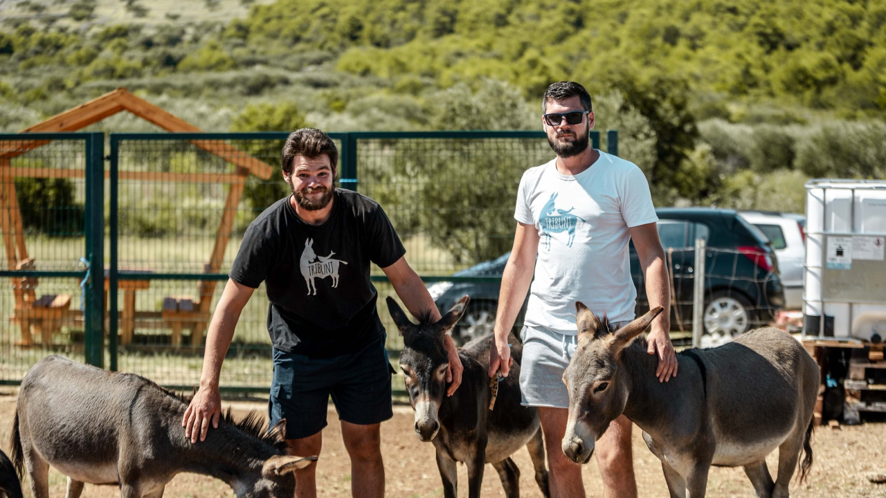 Za magarce na farmi 'Ćušin raj' brine se cilo misto: 'Mještani donose hranu, a djeca zaborave na mobitele'