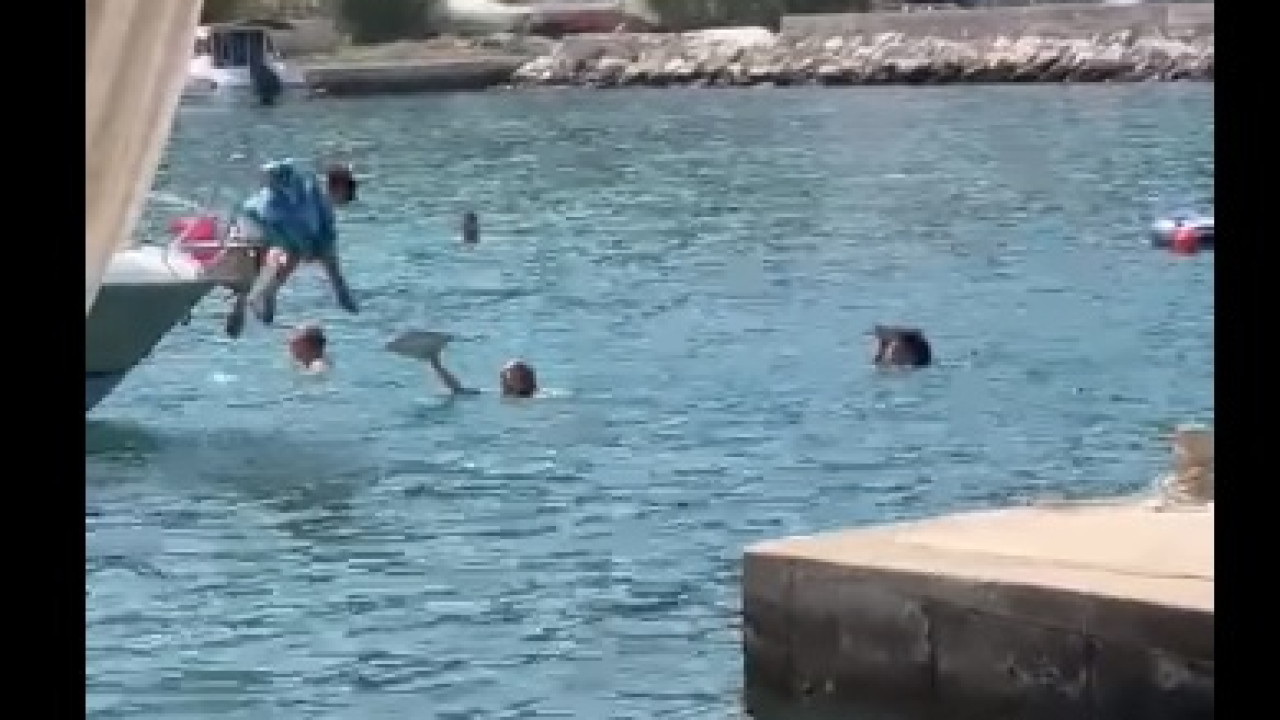 U Prvić Luci vam pizza može doći i preko mora...