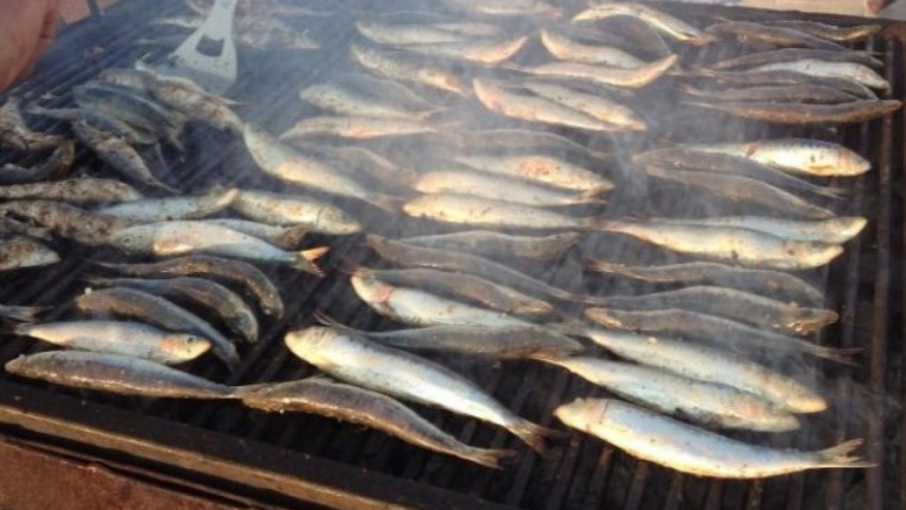 U Vodicama u subotu prava dalmatinska fešta s puno dobre spize