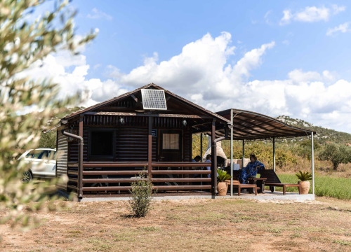 Fotografija 7 - Krešimir Uroda vratio se u Pirovac, oživio maslinik i danas je njegovo ulje među najboljim u svijetu