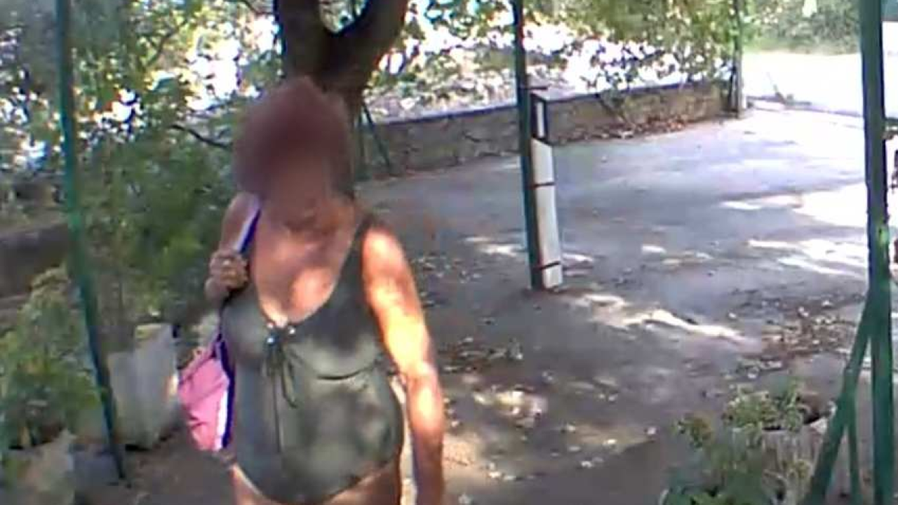 Hladnokrvnost u kupaćem kostimu: Gospođa iz tuđeg dvorišta na Jadriji iščupala cijeli pitar cvijeća