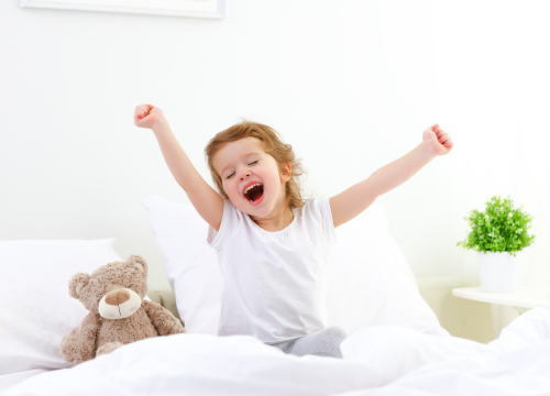 Želite se riješiti ustajalog i lošeg, nekvalitetnog zraka? Okružite se svježim zrakom te pobijedite vlagu i plijesan!