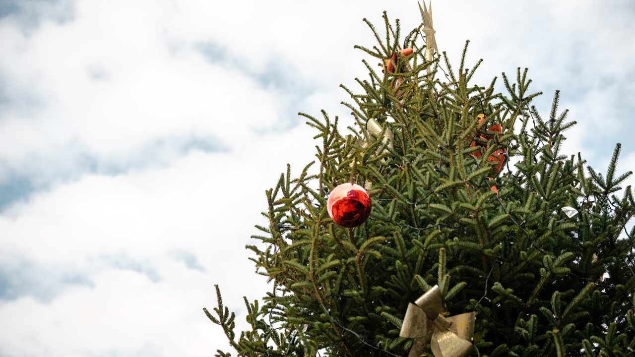 Isplati se potruditi oko uređenja izloga u gradu: Otvorene prijave za Božićni medenjak!