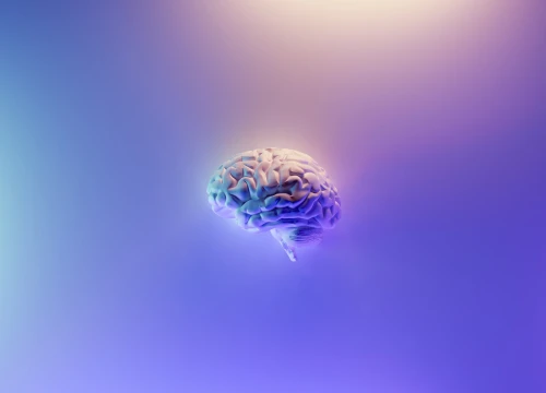 Muskov Neuralink ugradio prvi čip u mozak čovjeka