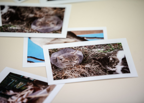 Raspisan likovni i literarni natječaj za šibenske osnovnoškolce