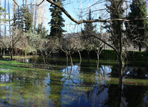 Visok vodostaj Krke poplavio dio Visovca
