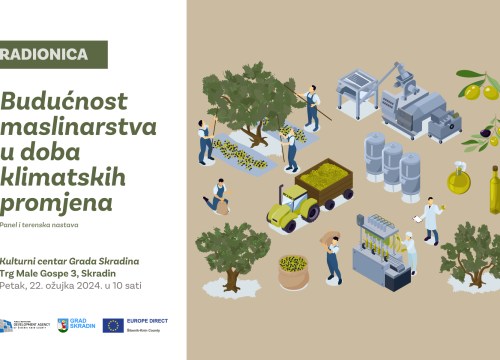 Fotografija 5 - Ne propustite odličnu radionicu o budućnosti maslinarstva!