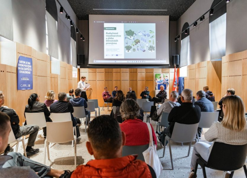 Fotografija 9 - Maslinarstvo u Dalmaciji je i dalje većinom dodatna djelatnost, ali Skradin ima velikih potencijala