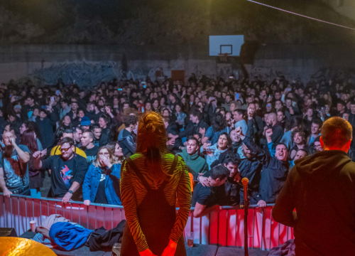 Prvo izdanje Crtaona festa pun pogodak: 'Festival mirisao na onaj šibenski duh iz starih vremena'