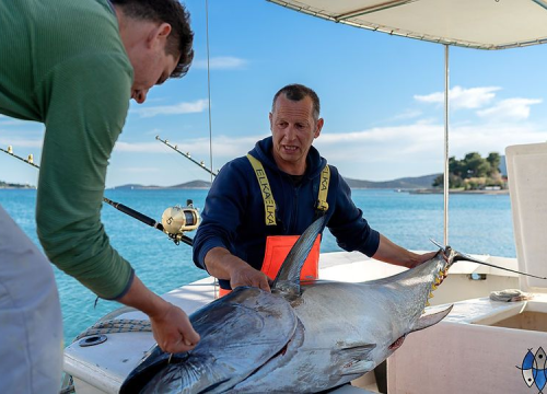 Ministrica Vučković posjetit će objekt za preradu ribe u Vodicama
