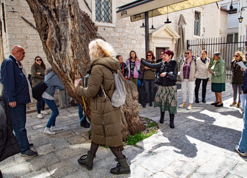 Flora Dalmatica u utorak donosi razgled grada 'Zelena tura' uz program 'Zelena nit'