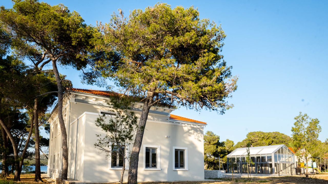 Na šetnici sljedeći tjedan saznajte 'Kako je počela znanost na mom otoku?'