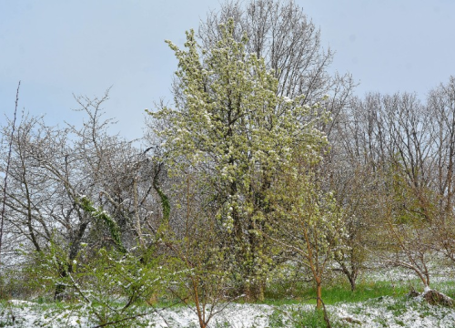 Zabijelio se sjever Hrvatske, a osim snijega drastično pala i temperatura