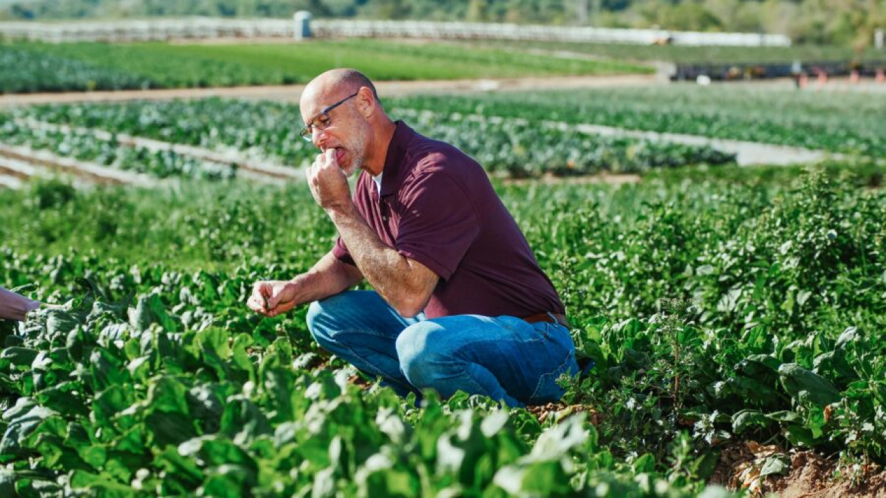 Deset najboljih voća i povrća za dugovječnost