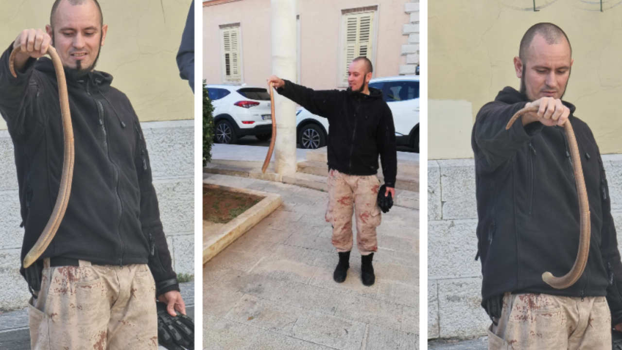 Denis Periša spasio blavora iz centra Šibenika: Motao se oko ulaza u gradsku upravu