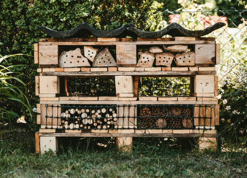 Zadnji tjedan Flore Dalmatice donosi Zelenarijum i jedan poseban hotel u centru Šibenika