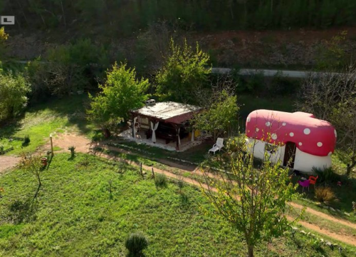 Fotografija 3 - Florijan je ekipu Večere za 5 ugostio u svojim gljivama u Rupama, na jelovniku teletina