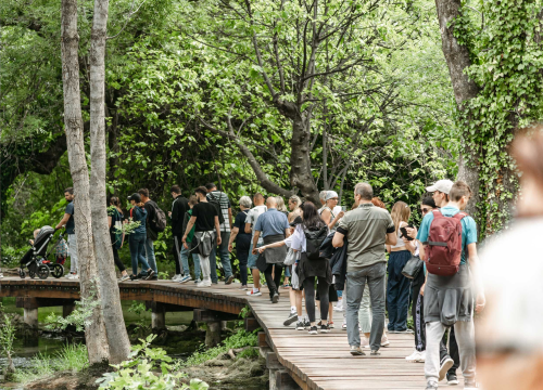 Fotografija 2 - Podijeljeno tisuću sadnica lavande i lovora: 'Želimo očuvati naše ekosustave i poticati bioraznolikost'