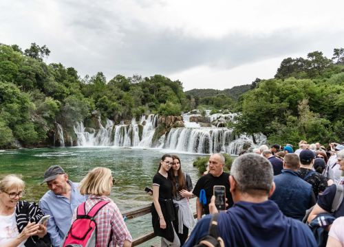 Fotografija 10 - Podijeljeno tisuću sadnica lavande i lovora: 'Želimo očuvati naše ekosustave i poticati bioraznolikost'
