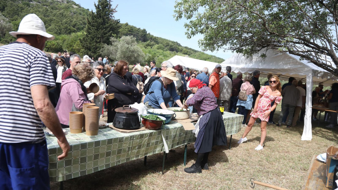 TZ grada Vodica i ove godine organizirao piknik u Rakitnici