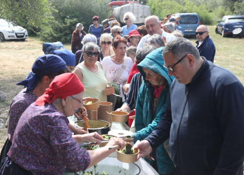 Fotografija 3 - TZ grada Vodica i ove godine organizirao piknik u Rakitnici
