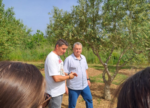 Fotografija 8 - Šibenski studenti na OPG-u Uroda učili o značenju maslinovog ulja kao lijeka i hrane