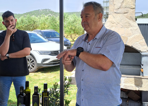 Fotografija 4 - Šibenski studenti na OPG-u Uroda učili o značenju maslinovog ulja kao lijeka i hrane