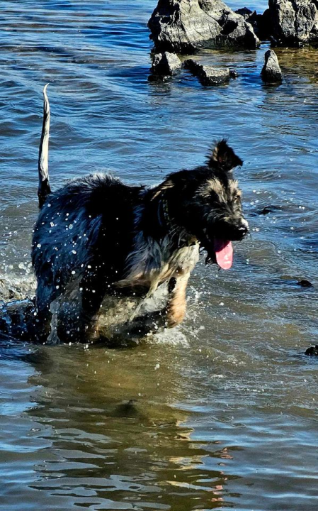 Omiljeni bistro Kod Starog odlično je odredište i u ljetnim danima!