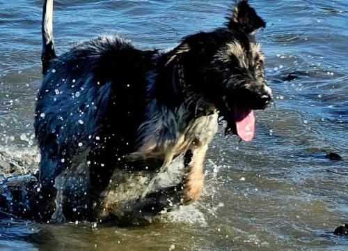 Fotografija 10 - Omiljeni bistro Kod Starog odlično je odredište i u ljetnim danima!