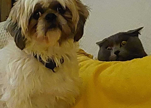 Fotografija 15 - Omiljeni bistro Kod Starog odlično je odredište i u ljetnim danima!