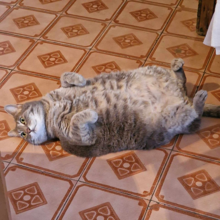 Omiljeni bistro Kod Starog odlično je odredište i u ljetnim danima!