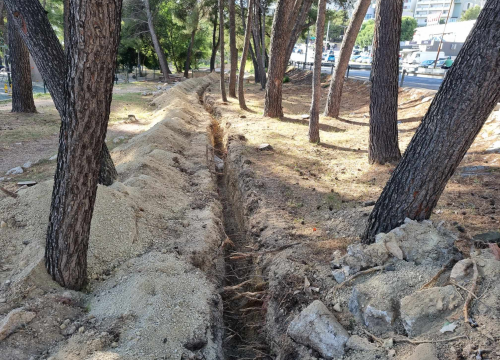 Krenula kompletna obnova Rasadnika: Stižu nova stabla i slavine za pitku vodu, uređuju se igrališta...