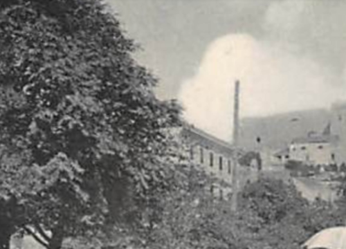 Šibenski leksikon: Nedjeljom samo ko-la-fjaka