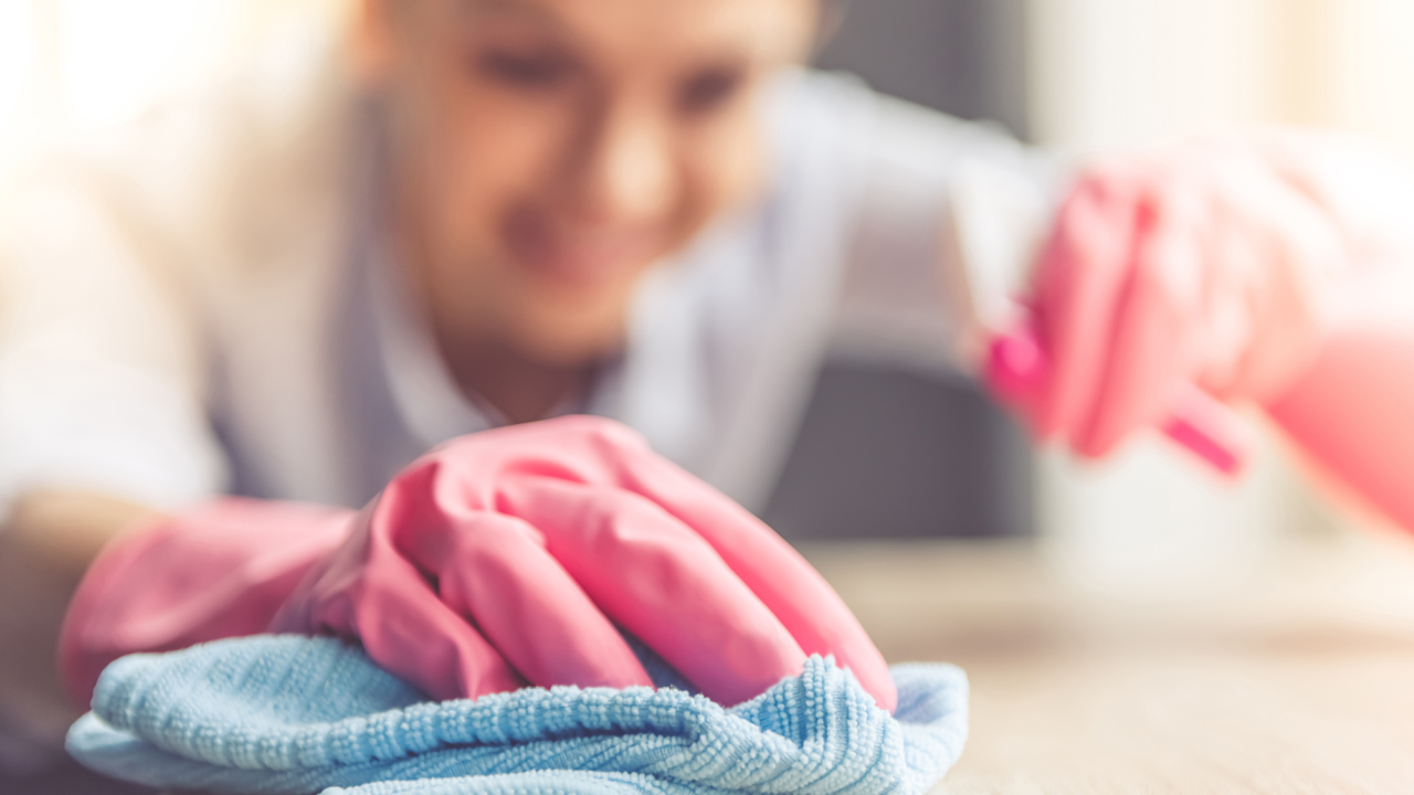 Teria Cleaning nudi vrhunsku uslugu čišćenja!