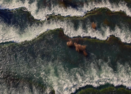 Fotografija 8 - Film Tomislava Krnića dobitnik zlatne medalje na prestižnom festivalu: 'Nagrada je potvrda da dobro radimo'