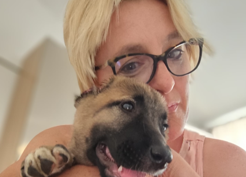 Štene kojem je netko odrezao uši sada živi na ranču kraj Vodica: 'Kod nas je dobila dom i veliku obitelj'